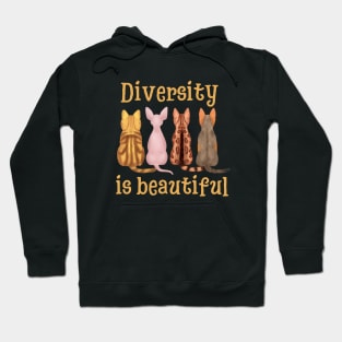 Diversity Is Beautiful | Gifts For Cat Lovers Hoodie